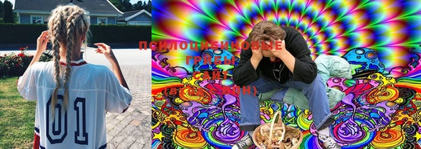 прущий лед Иннополис
